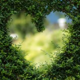 Herz in Hecke