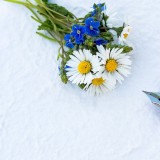 greeting-card-2320754_1920