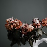 annie-spratt-LsP6HM-ghcg-unsplash