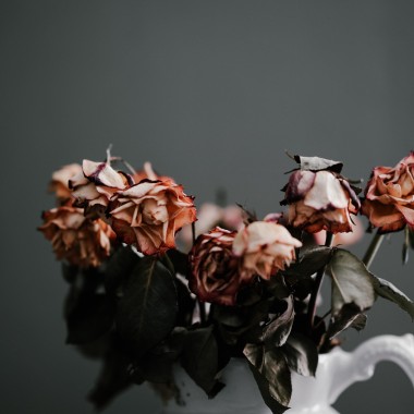 annie-spratt-LsP6HM-ghcg-unsplash