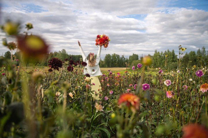 Heiratsantrag Idee draußen im Blumenfeld
