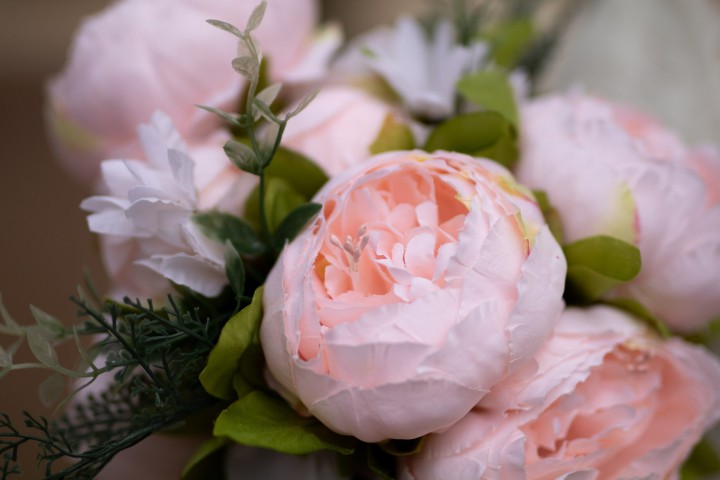 Pfingsrosen Bedeutung