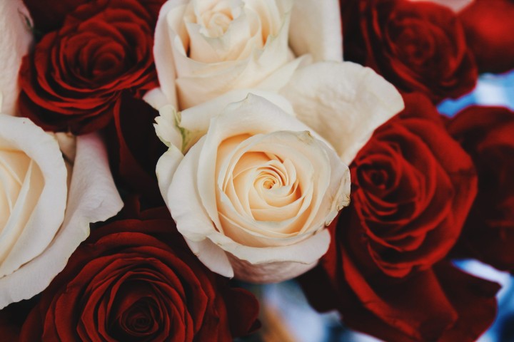 Rosen Blumen Bedeutung